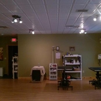 Splash Heidis Pet Spa - Pet Services Near Me - Springvale, Maine