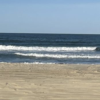 Bob's Wild Horse Tours - Tours Near Me - Corolla, North Carolina Bob's Wild Horse Tours - Tours Near Me - Corolla, North Carolina
