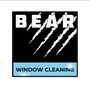 Bear Window Cleaning