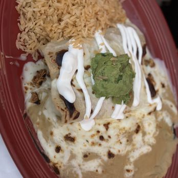 Salsa & Beer - Creamy Chicken Enchilada - Mexican Near Me - Van Nuys, California