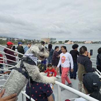 Harbor Breeze - My baby enjoy life - Boat Charters Near Me - Long Beach, California