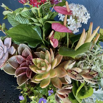 1. Maui Plant Delivery