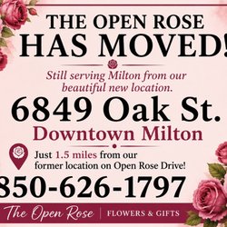The Open Rose