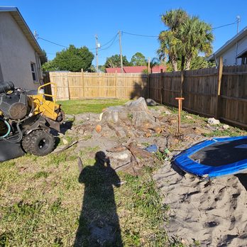 Coto's Stump Grinding Services - Tree Services Near Me Coto's Stump Grinding Services - Tree Services Near Me