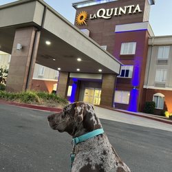 La Quinta by Wyndham Milledgeville - This is my girl watching her daddy leave for work in the morning.