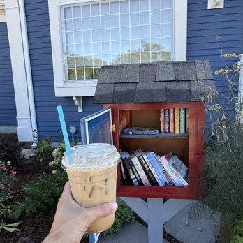 Snowy Owl - Library - Cafes Near Me - Brewster, Massachusetts Snowy Owl - Library - Cafes Near Me - Brewster, Massachusetts