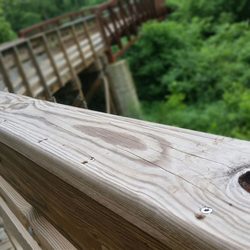 Woofstock Park - Beautiful bridge.