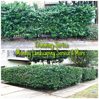 Monroy Landscaping - Profesional trimming service 77057,77027,77035,77098 77459,77489,77401,774583,77584, - Landscaping Near Me