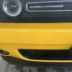 Bugs still on the bumper immediately after going through the "car wash"