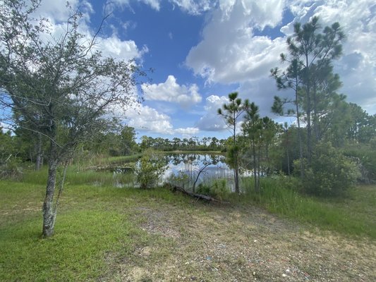 Fred C. Babcock/Cecil M. Webb Wildlife Management Area by null