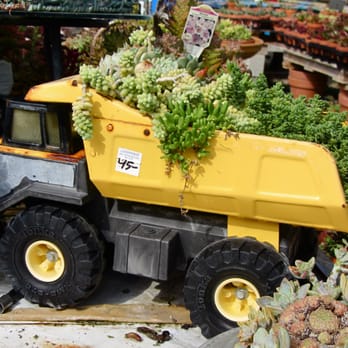 Cosentino's Nursery - Cacti in a Tonka Truck - Nurseries & Gardening Near Me - Malibu, California Cosentino's Nursery - Cacti in a Tonka Truck - Nurseries & Gardening Near Me - Malibu, California