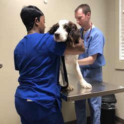 Ross Bridge Animal Hospital