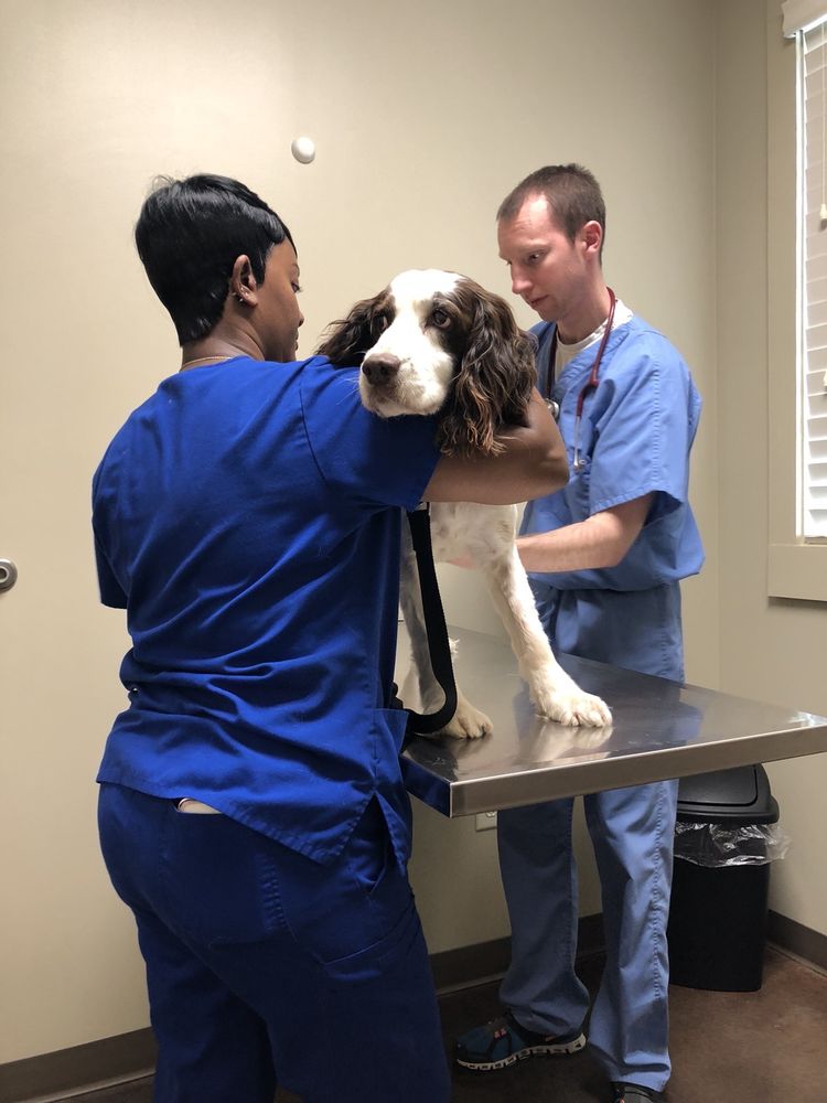 Ross Bridge Animal Hospital - pet boarding facility in Hoover, AL