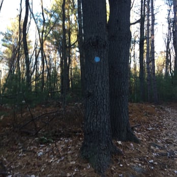 Ward Reservation - Marked trails - Parks Near Me - Andover, Massachusetts