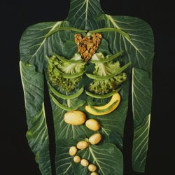 WellBelly