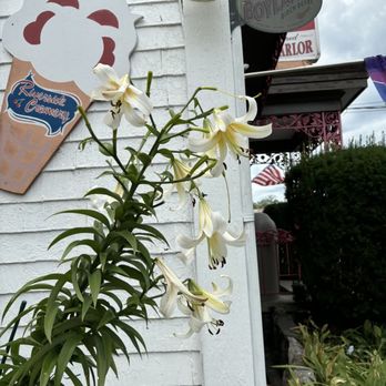 Riverside Creamery - Flowers Outside - Ice Cream & Frozen Yogurt Near Me - Port Jervis, New York Riverside Creamery - Flowers Outside - Ice Cream & Frozen Yogurt Near Me - Port Jervis, New York