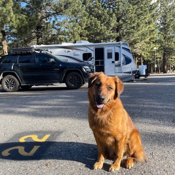 Sena's Auto Repair - JoJo, Jeep GC V-8 Hemi & RV - Auto Repair Near Me - Española, New Mexico Sena's Auto Repair - JoJo, Jeep GC V-8 Hemi & RV - Auto Repair Near Me - Española, New Mexico
