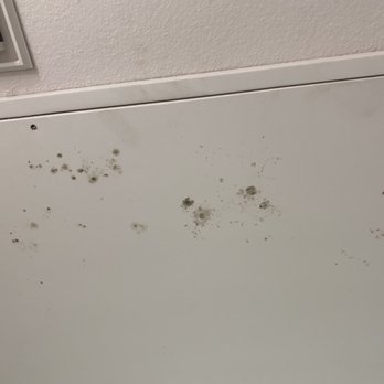 Timberlakes at Atascocita - Completely HORRIBLE. - Apartments Near Me - Humble, Texas