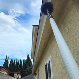 Windows, roof and gutters being treated