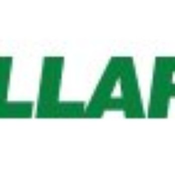 Dollar Tree - Dollar Tree - Discount Store Near Me - Pembroke Pines, Florida Dollar Tree - Dollar Tree - Discount Store Near Me - Pembroke Pines, Florida