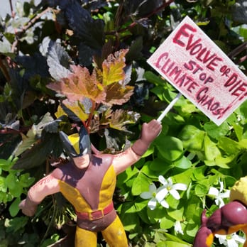 Mill Ends Park - Even Wolvie is taking a stand climate change - Parks Near Me - Portland, Oregon