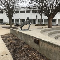 Delaware Valley University