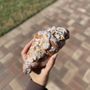 Photo of Chez Kobayashi Pastries