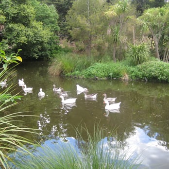 The Auckland Domain - Parks Near Me - Auckland, AUK The Auckland Domain - Parks Near Me - Auckland, AUK