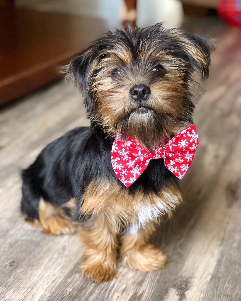 THE PET WAREHOUSE 41 Photos & 75 Reviews Pet Stores 1250 Western