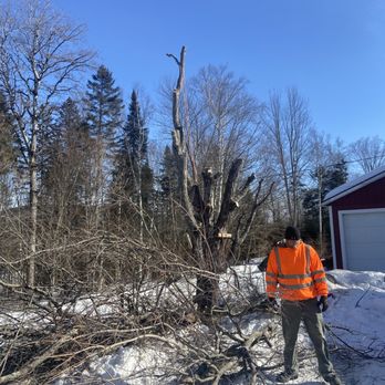 NEK Tree Workz - a man in an orange vest working on a tree - Tree Services Near Me NEK Tree Workz - a man in an orange vest working on a tree - Tree Services Near Me