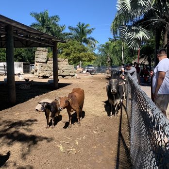 Robert Is Here - Petting Farm - Fruits & Veggies Near Me - Homestead, Florida Robert Is Here - Petting Farm - Fruits & Veggies Near Me - Homestead, Florida