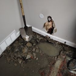Sunshine Property Solutions - Busted main drain under the floor