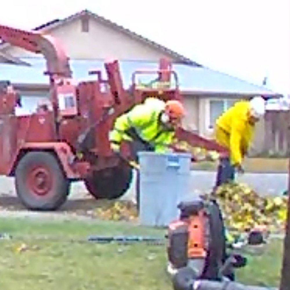 G Tree Service - Hard workers - Tree Services Near Me