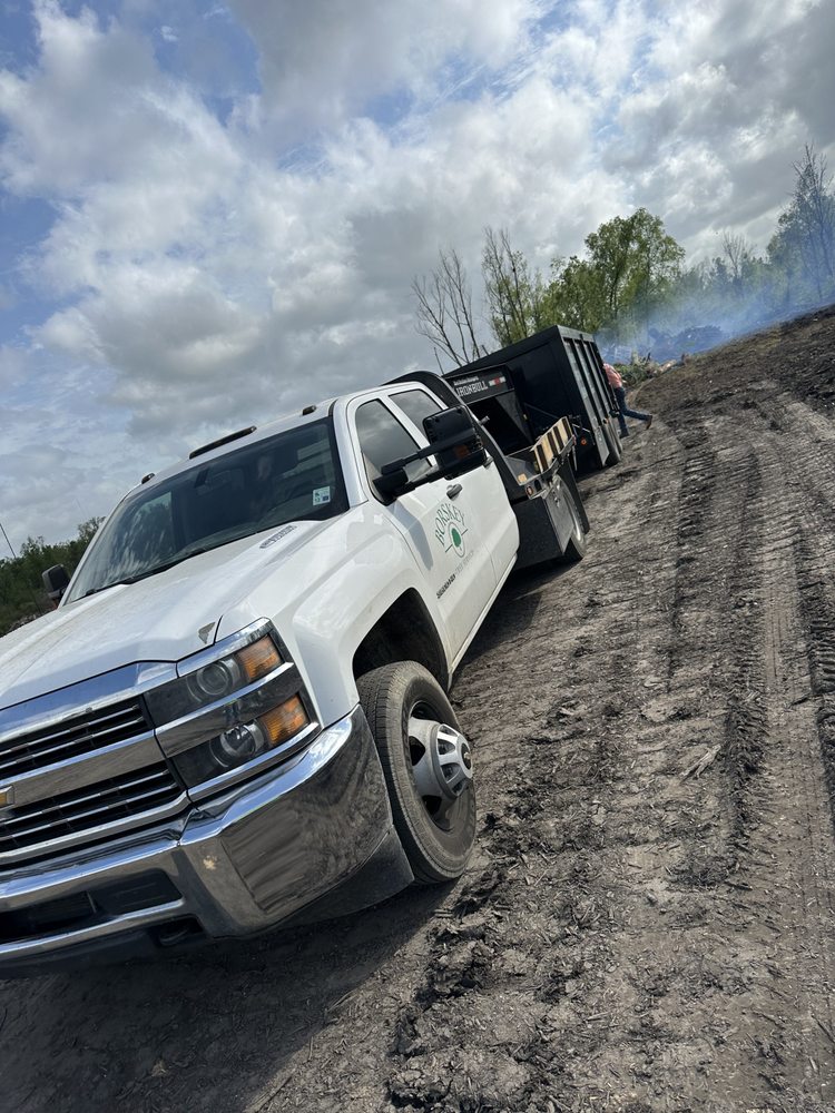 Borskey Tree Service - tree service in Baker, LA