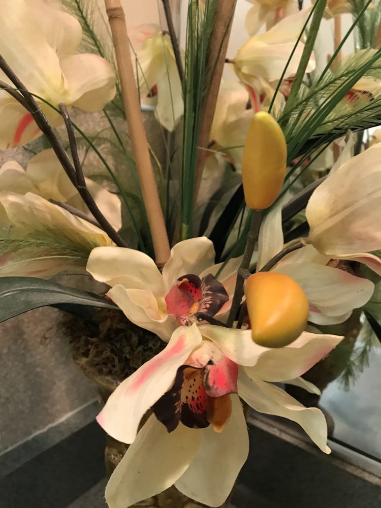 ALMA FUNERAL HOME & CREMATORY Updated September 2024 2130 E