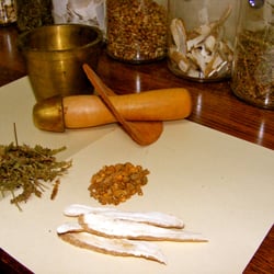 Angela Rosen, LAc - Herbal medicine - effective treatment without side effects.