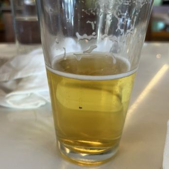 José - Piece of food stuck in the glass - Mexican Near Me - Dallas, Texas José - Piece of food stuck in the glass - Mexican Near Me - Dallas, Texas