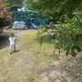 Photo of Lewis Park