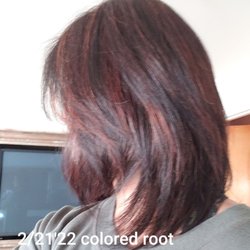 Elegant Beauty Hair Salon - Trim, hi light/toner. super pleased. Thx Elsa.