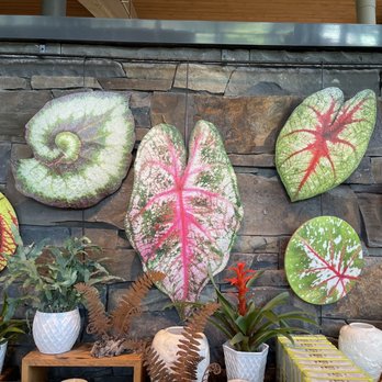 NYBG Shop - Leaf art for purchase - Gift Shops Near Me - Bronx, New York NYBG Shop - Leaf art for purchase - Gift Shops Near Me - Bronx, New York