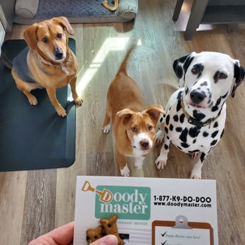 Doody Master - Pet Waste Removal Near Me - Dansville, New York Doody Master - Pet Waste Removal Near Me - Dansville, New York