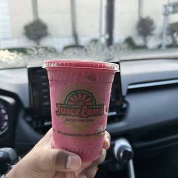 JuiceLand - Wild Child Blended - Juice Bars & Smoothies Near Me - Houston, Texas