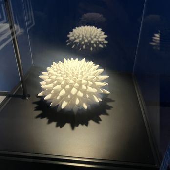 Museum of Illusion - Museums Near Me - Seattle, Washington Museum of Illusion - Museums Near Me - Seattle, Washington