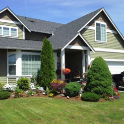 Rid X Termite And Pest Control - For Home and Commercial business.
