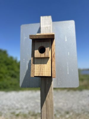 Jamaica Bay Wildlife Refuge by null