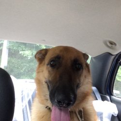 Appalachian Animal Hospital - Cass loves Applachian Animal Clinic