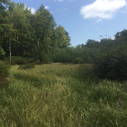 Bear Meadows Natural Area - Bear Meadows Natural Area