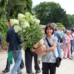 Berliner Staudenmarkt - Impressionen vom Berliner Staudenmarkt im Botanischen Garten Berlin-Dahlem