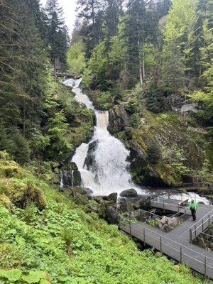 Triberg Waterfalls by null