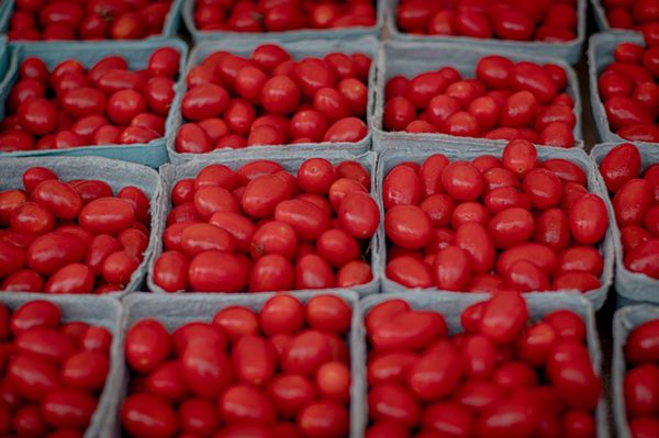 St Matthews Farmers Market by null